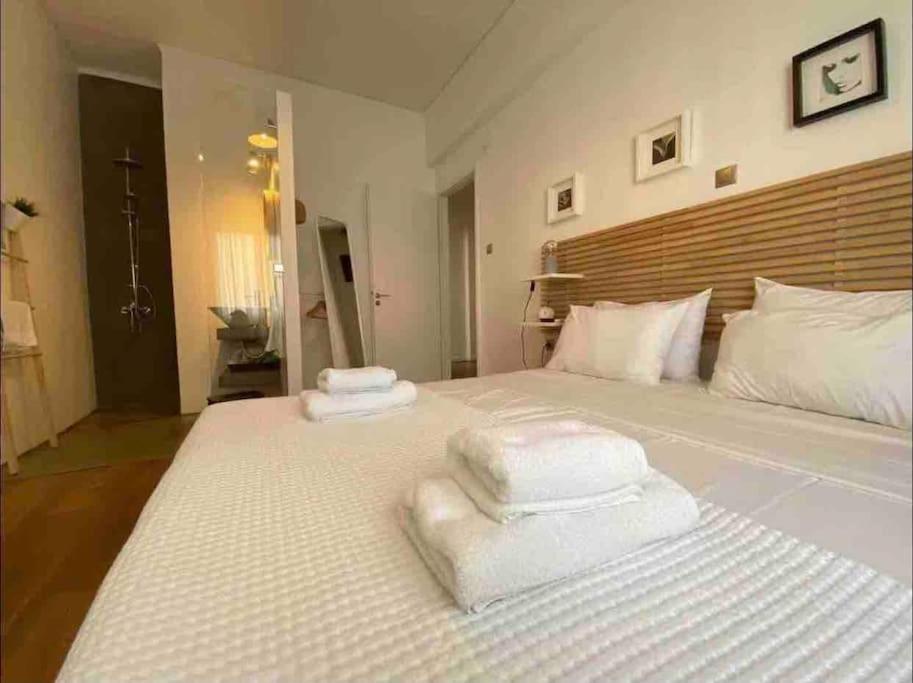 Vasilis Luxury Apartment เอเธนส์ ภายนอก รูปภาพ